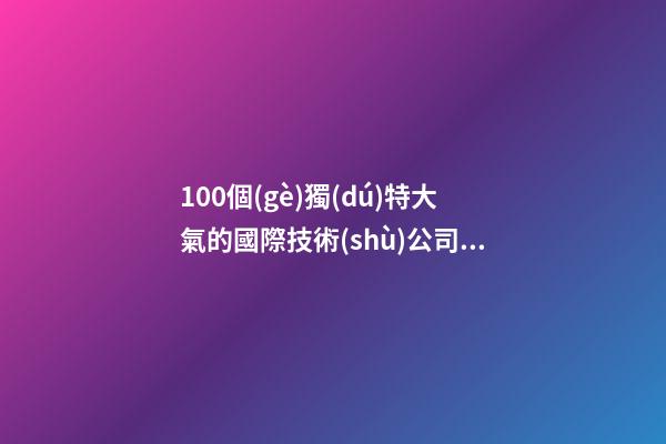 100個(gè)獨(dú)特大氣的國際技術(shù)公司名字 借鑒這些吉名合適